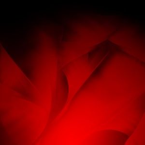 Meet your Posher, Bridgett